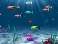 Franky The Fish για να παίξετε online