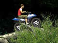 Jungle ATV για να παίξετε online