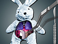 Save The Bunny για να παίξετε online