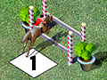 Εμφάνιση Horse Jumping για να παίξετε online