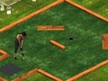 Putt It In για να παίξετε online