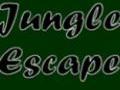 Jungle Escape για να παίξετε online