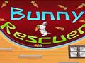 Bunny διασώστη για να παίξετε online