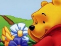 Winnie the Pooh Κρυφό Αντικείμενο για να παίξετε online