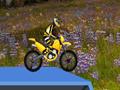 Hillblazer FMX για να παίξετε online